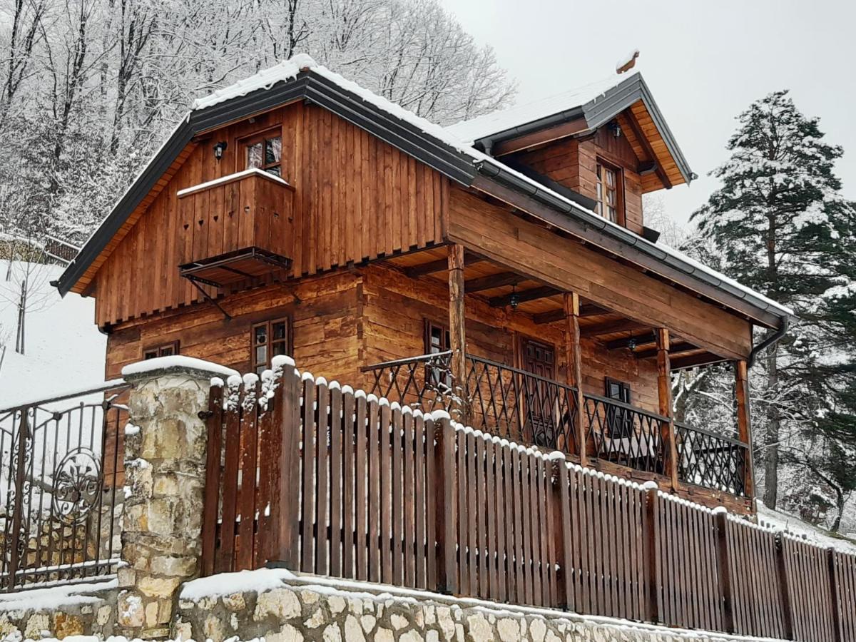 Vila Trnoruzica ตูเฮลย์ ภายนอก รูปภาพ